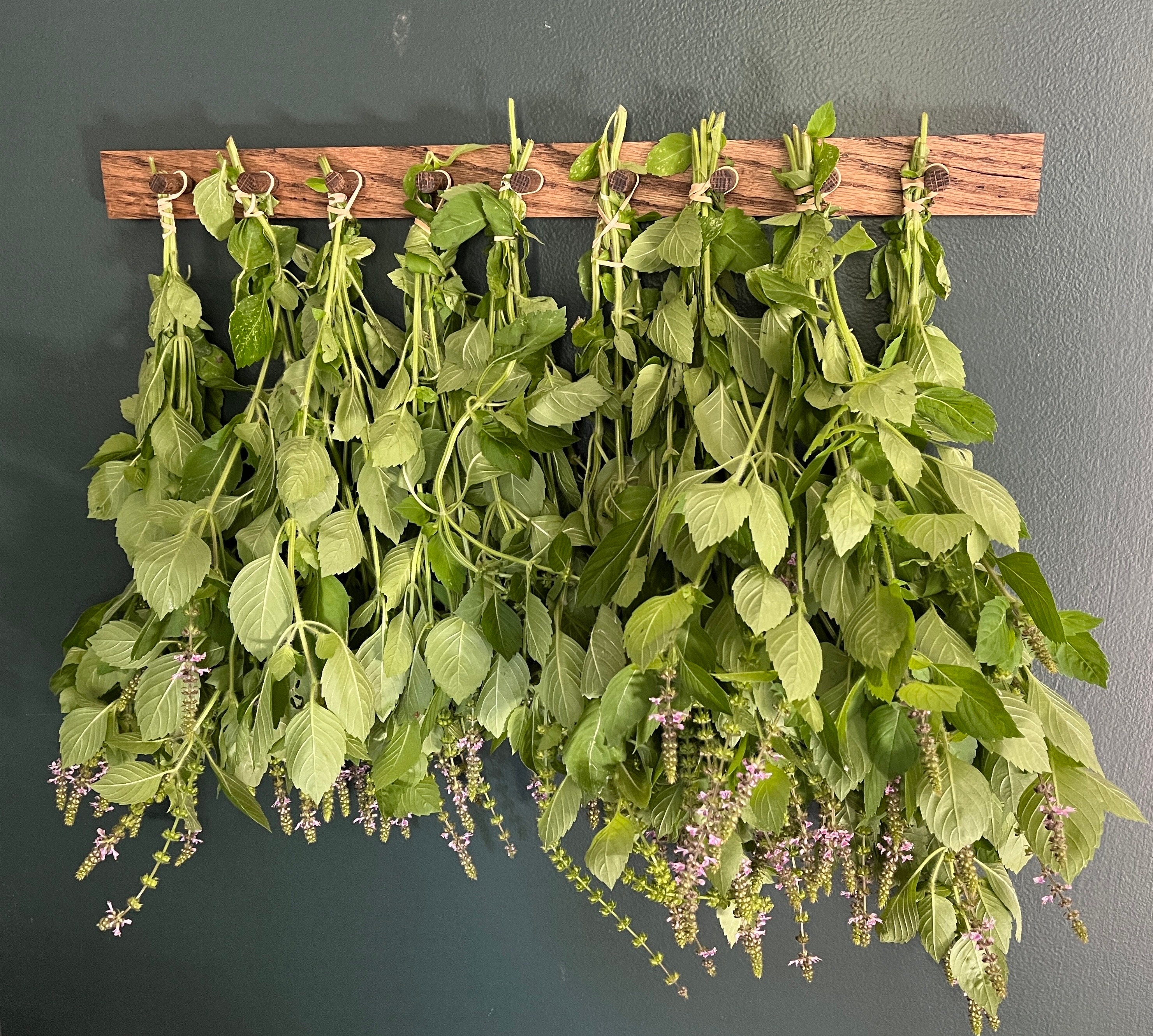 Herb drying rack utilizing an old sign and office binder clips