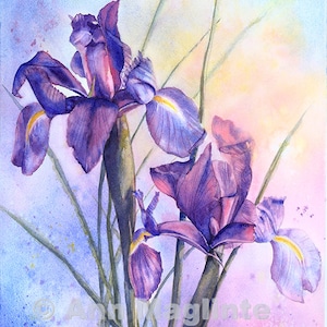 Blue Iris, flower, garden, nature, floral, gardener, original watercolor, giclee, wall art, home decor