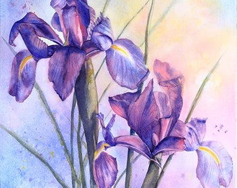 Blue Iris, flower, garden, nature, floral, gardener, original watercolor, giclee, wall art, home decor