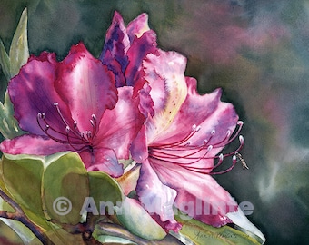 Rhododendron Rhapsody, flower, garden, nature, giclee, original  watercolor, wall art, home decor, magenta,