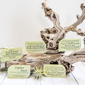 Scripture Leaves, Anxiety Collection