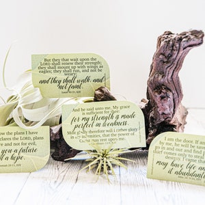 Scripture Leaves - Complete Collection