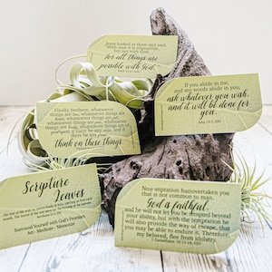 Scripture Leaves - Think on These Things Collection