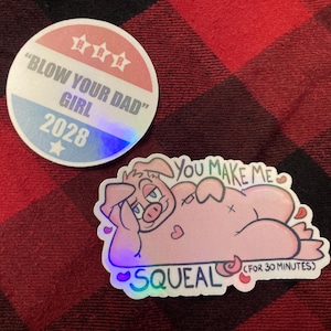 Hey Ruddle Rätselsticker (Einzeln oder im Set!)