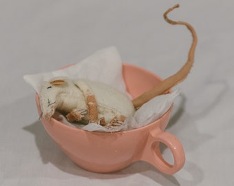 Mouse in a cup: Lola, the narcoleptic.