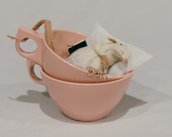 Mouse in a cup: Liza, the narcoleptic.