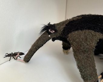 Andy, the Anteater.