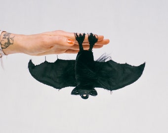 Toy Bat: Klaus.