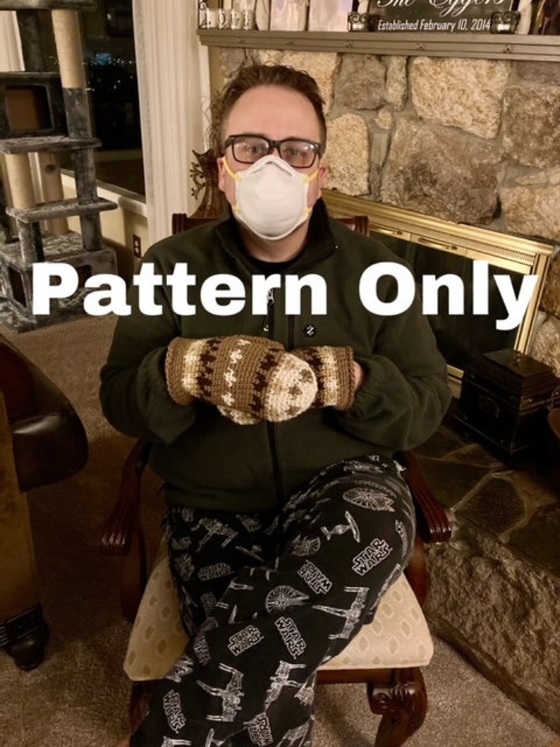 Feelin the Bern Crochet Mittens, PDF Pattern Download ONLY image 1