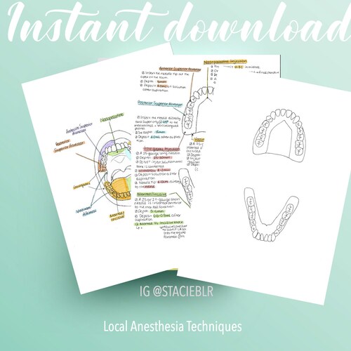 Local Anesthesia Techniques in Oral and Maxillofacial Diagrams Etsy