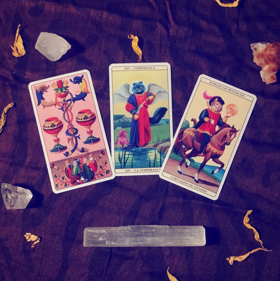 Pet Tarot 3 Card Tarot Spread Etsy