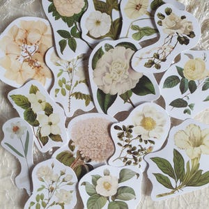 Floral Sticker Pack/Creamy White Flower Stickers/Roses/Blossom Leaves/Botanical/Vintage Ephemera/Journal Planner/Scrapbook - Pack of 15