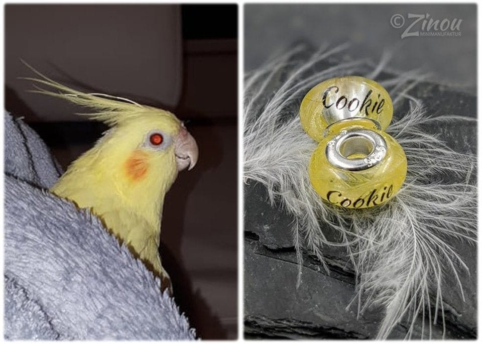 16mm Perle mit Name und Asche Haare Fell vom Haustier Hund Etsy