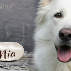 Puede incluir: Una urna blanca y ovalada para mascotas con el nombre "Mia" en escritura negra. La urna est&aacute; colocada sobre un fondo borroso con un perro blanco. La cara del perro est&aacute; enfocada, su lengua es visible.