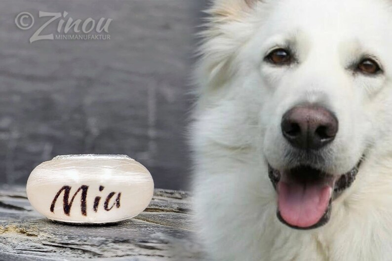 Puede incluir: Una urna blanca y ovalada para mascotas con el nombre "Mia" en escritura negra. La urna est&aacute; colocada sobre un fondo borroso con un perro blanco. La cara del perro est&aacute; enfocada, su lengua es visible.