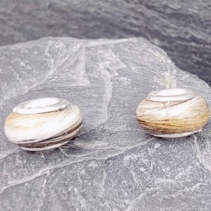 May include: Two small, round, wooden beads with a natural wood grain pattern. The beads are light brown and white, with dark brown stripes. They are resting on a gray, textured surface.