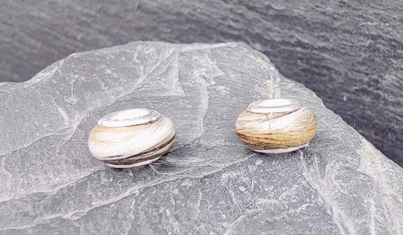 May include: Two small, round, wooden beads with a natural wood grain pattern. The beads are light brown and white, with dark brown stripes. They are resting on a gray, textured surface.