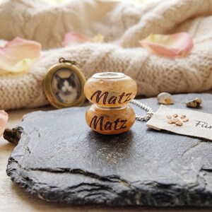 Puede incluir: Un collar con colgante con un peque&ntilde;o medall&oacute;n redondo con una foto de gato y un charm de cuentas de madera de dos partes grabado con el nombre "Matz". El charm est&aacute; conectado a una cadena de plata. Tambi&eacute;n hay una peque&ntilde;a etiqueta con una huella de pata y texto.