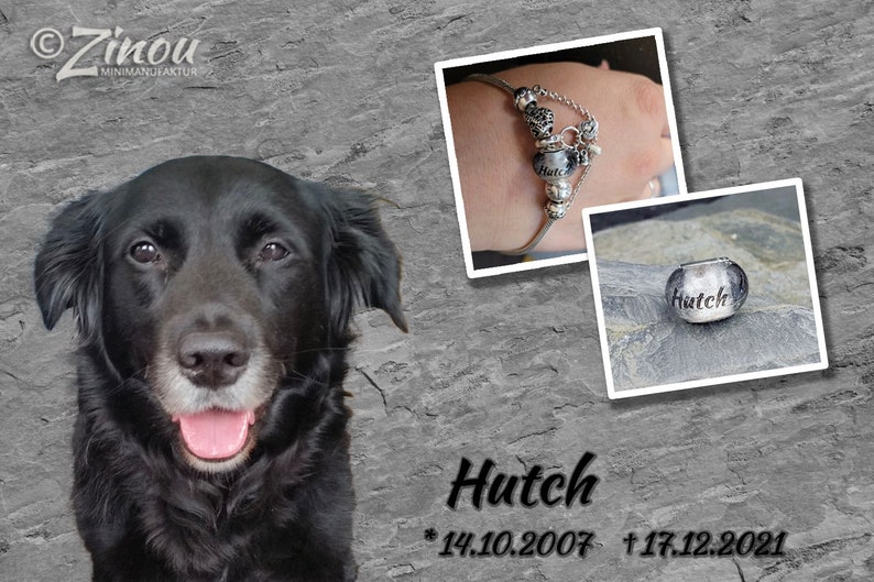 Puede incluir: Un perro negro con una expresi&oacute;n feliz es la imagen central. Dos fotos insertadas muestran una pulsera con un dije que dice "Hutch". El texto "Hutch" y las fechas tambi&eacute;n est&aacute;n incluidos. El fondo es una textura de piedra gris.