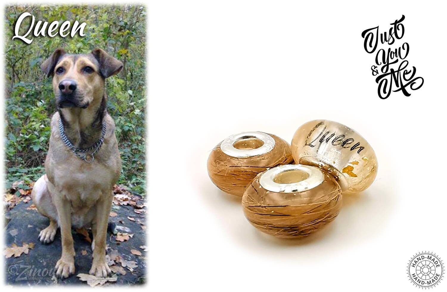 16mm Perle mit Name und Asche Haare Fell vom Haustier Hund Etsy
