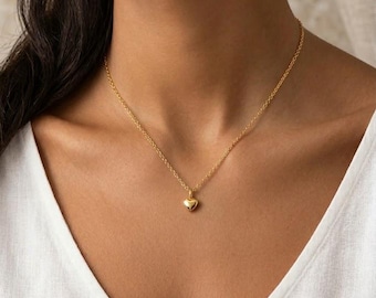 Mini urna a forma di cuore in acciaio inossidabile con catena, cremazione, ceneri, animali domestici, gioielli con ceneri, gioielli con urna, cremazione, ricordo, funerale