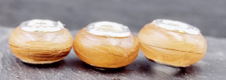 May include: Three small, round, light brown objects with a silver-colored top. The objects have a textured, fibrous appearance. The silver tops are smooth and reflective. The objects are arranged in a row, slightly angled.