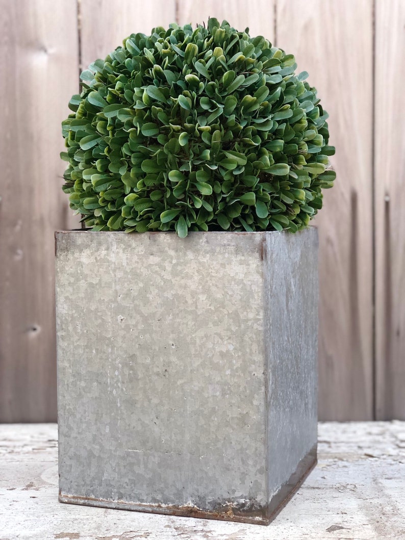 Old Galvanized Planter #3