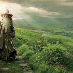 May include: A wizard with a long white beard and a pointed hat walks down a path in a green field. The wizard is holding a staff and is wearing a long brown robe.
