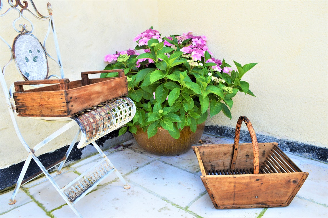 French Wooden Harvest Basket Potato Basket Rustic Garden Etsy