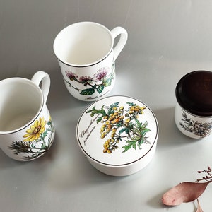 Villeroy & Boch Botanica Jar - Etsy