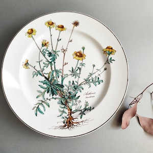 Villeroy & Boch ビレロイ&ボッホ　ボタニカ　大皿 Villeroy boch botanica - Etsy 日本