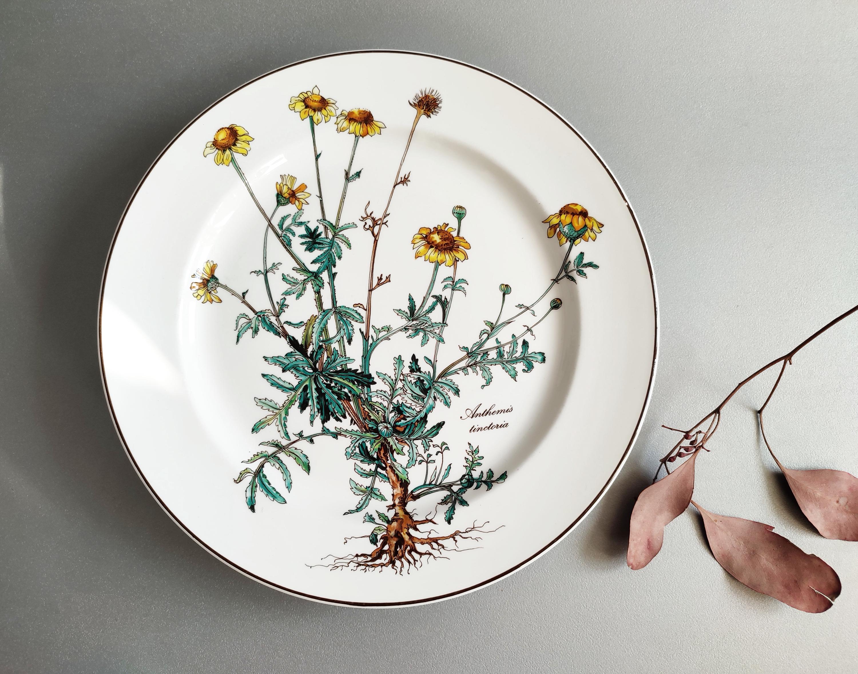Villeroy boch botanica - Etsy 日本