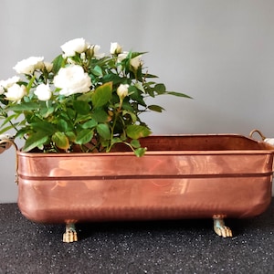 Puede incluir: Una jardinera de cobre con rosas blancas y hojas verdes. La jardinera rectangular tiene asas decorativas con detalles blancos y dorados. Se apoya sobre pequeños pies ornamentados. El diseño es vintage y elegante.