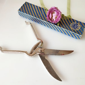 May include: A silver poultry shears with a blue and gold striped box. The shears have a long, curved blade and a smaller, straight blade. The box has the word "DOVO" printed on it.