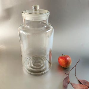 Könnte beinhalten: Ein klares Glasgefäß mit einem Glasdeckel. Das Gefäß ist leer und hat einen strukturierten Boden. Ein roter Apfel und einige braune Blätter sind im Hintergrund.