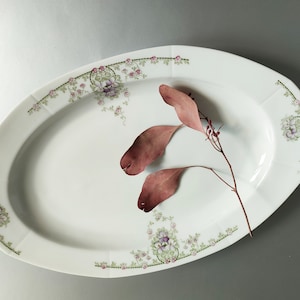Puede incluir: Plato ovalado blanco para servir con un diseño floral en tonos rosa, verde y morado. Una rama seca con hojas marrones se coloca en el plato.