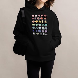 Sudadera unisex de gran tamaño y acogedora con capucha y gráfico de identificación de la colección de minerales de rocas arcoíris Crystal Lover
