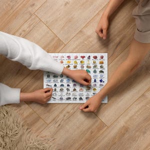 Puzzle, carte d'identification des cristaux de roches arc-en-ciel, soirée de jeux en famille, cadeau pour les amateurs de cristal, étudiants en géologie