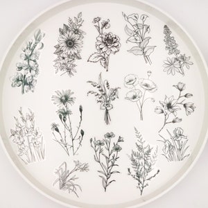 adesivo in plastica PET botanico / disegno di piante schizzo di piante adesivo in plastica PET a tema adesivi fustellati trasparenti