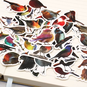 Paquete de 40 piezas / Pegatinas de pájaros / Pegatinas de pájaros / Pegatinas de pájaros lindos / Pegatinas de dibujos animados de pájaros / Pegatinas impermeables de PVC