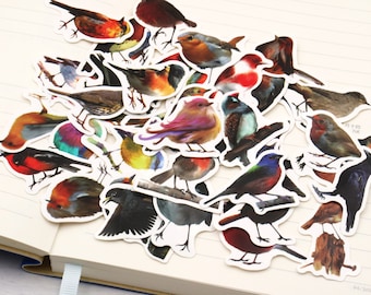 Pack of 40 pcs | Birds Stickers | Bird Stickers  | Cute Bird Stickers | Bird cartoon stickers | Waterproof Sticker PVC
