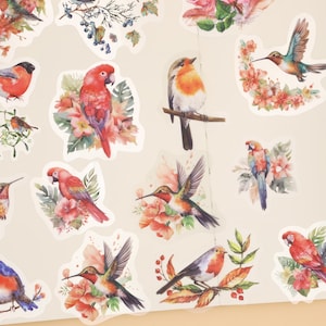 以下が含まれることがあります： 鳥と花の水彩画のイラストが描かれたカラフルなステッカーのシート。ステッカーには、ロビン、ハチドリ、オウムと、ピンク、赤、緑の色合いの花のアレンジメントが含まれています。