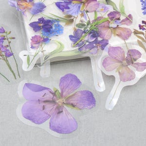 May include: A collection of floral stickers featuring pressed flowers in shades of purple, blue, and white. The stickers showcase various flower types, including irises and other delicate blooms, with a transparent background.