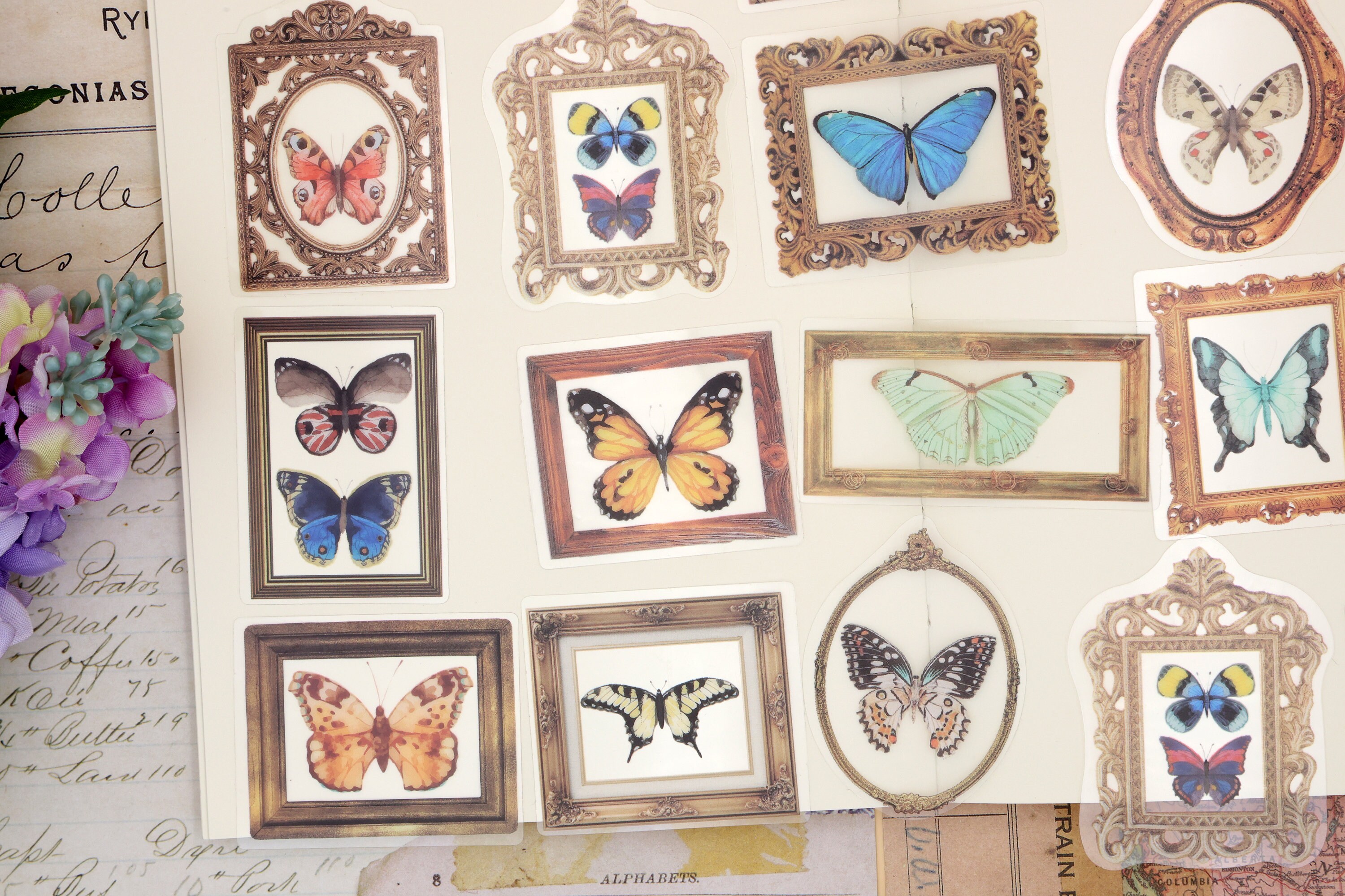 Butterfly PET Stickers | 40pcs/pack Butterly Nature Specimen PET ...