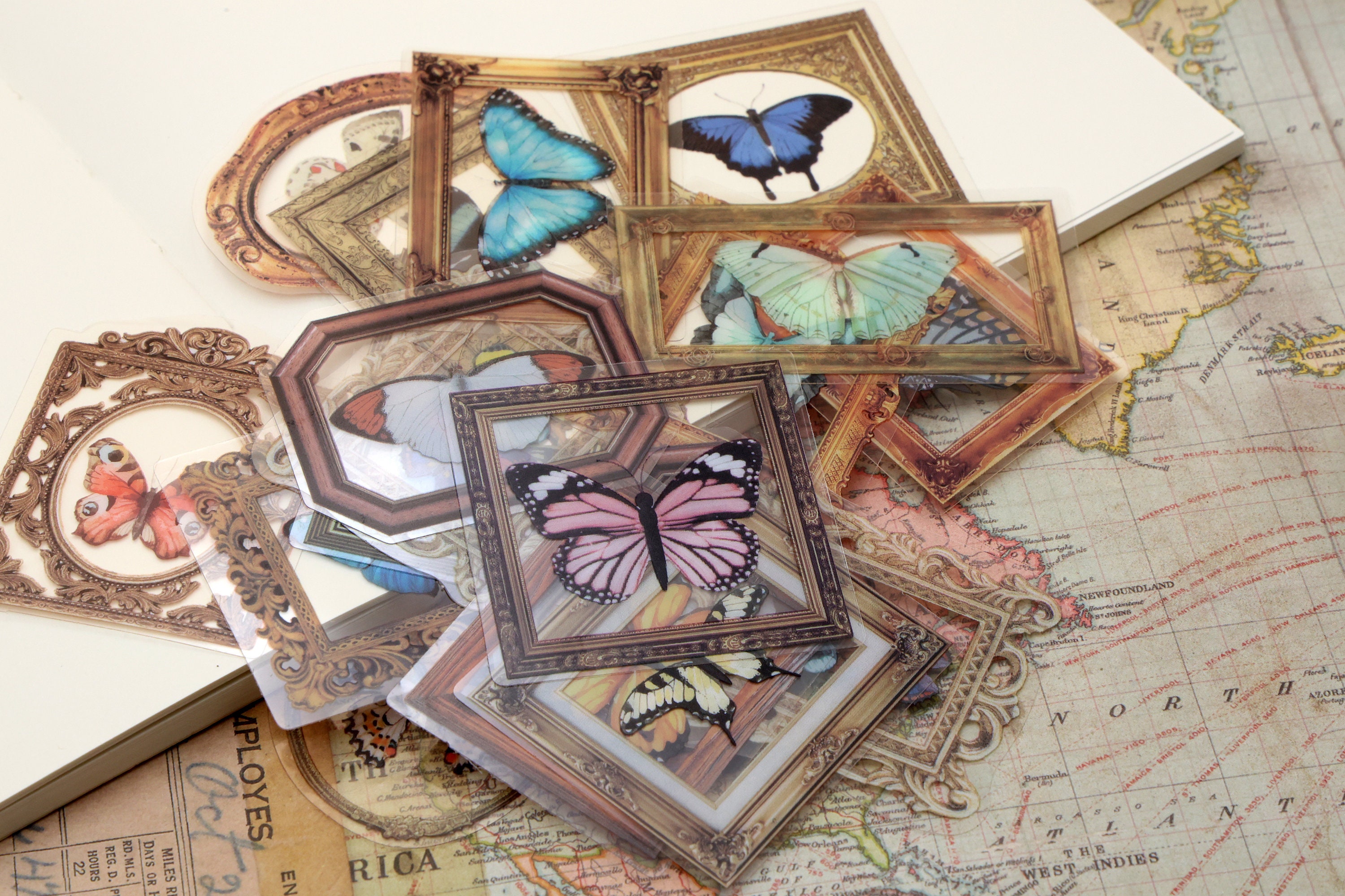 Butterfly PET Stickers | 40pcs/pack Butterly Nature Specimen PET ...