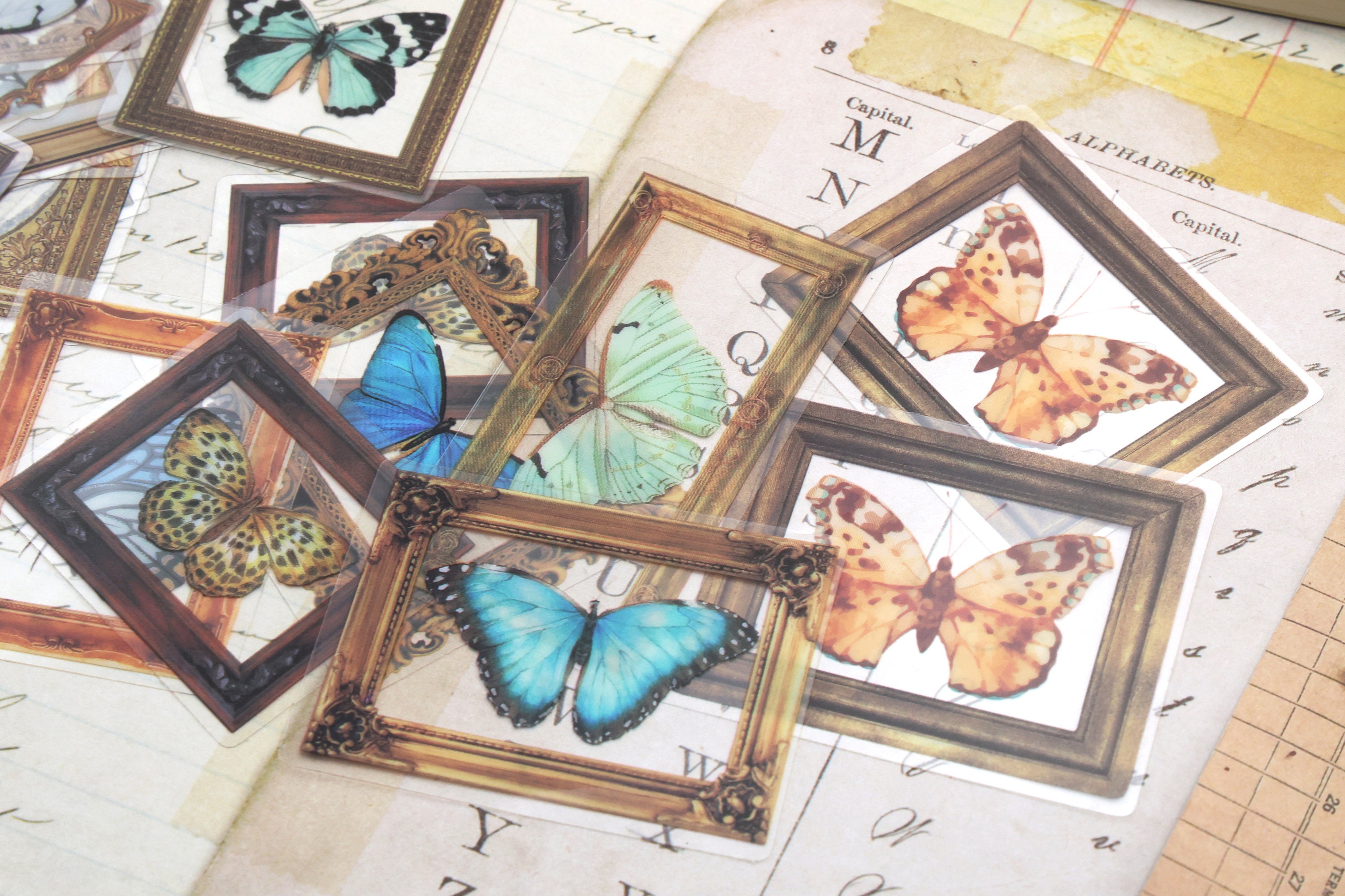Butterfly PET Stickers | 40pcs/pack Butterly Nature Specimen PET ...
