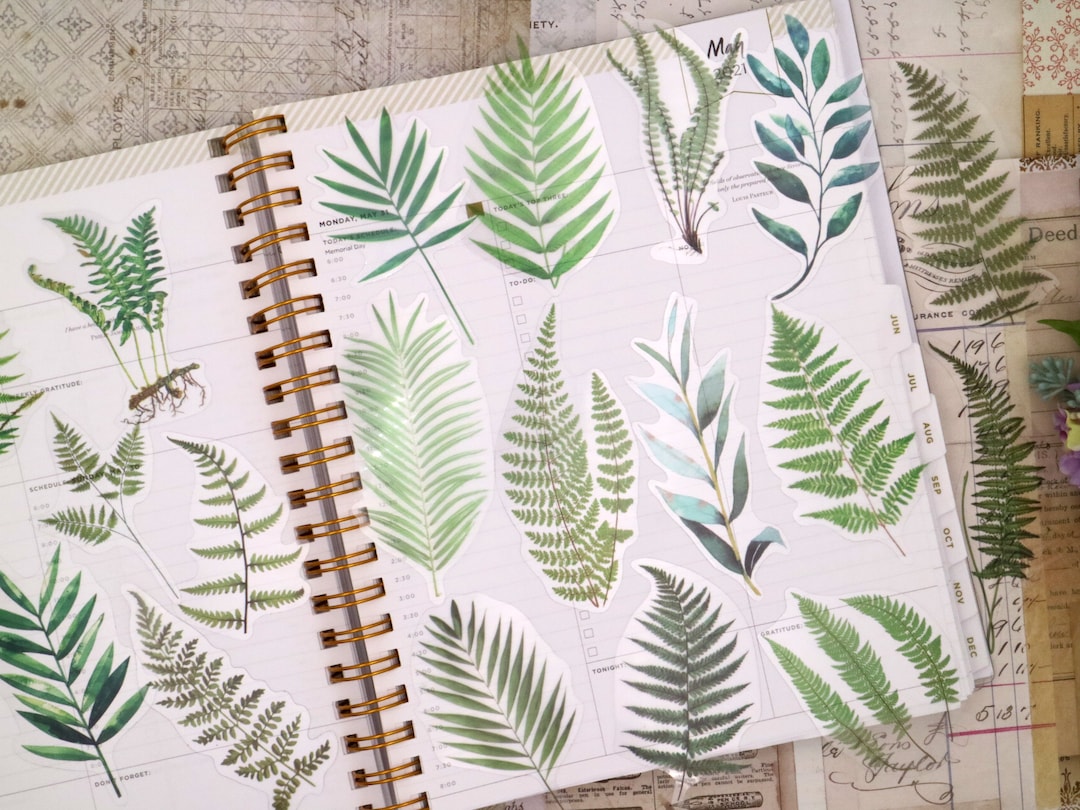 Fern Leaves Sticker | Fern Leaves Botanical Floral Themed PET Plastic ...