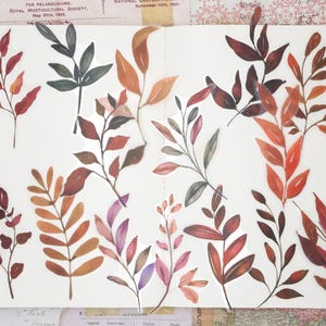 PET plastic sticker | 15pcs plant Autumn leaves themed PET plastic sticker transparent Die Cut Stickers