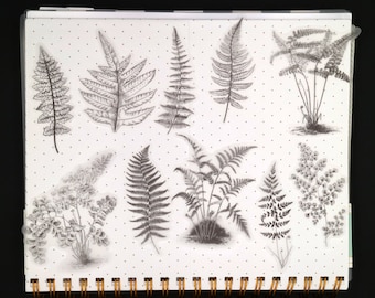 May include: A sheet of clear, transparent stickers featuring various black and white fern designs. The stickers are arranged in rows on a white background with small black dots.