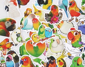 Pack of 50 pcs | Parrot Stickers | Bird Stickers  | Cute Bird Stickers | Parrot cartoon stickers | Waterproof Sticker
